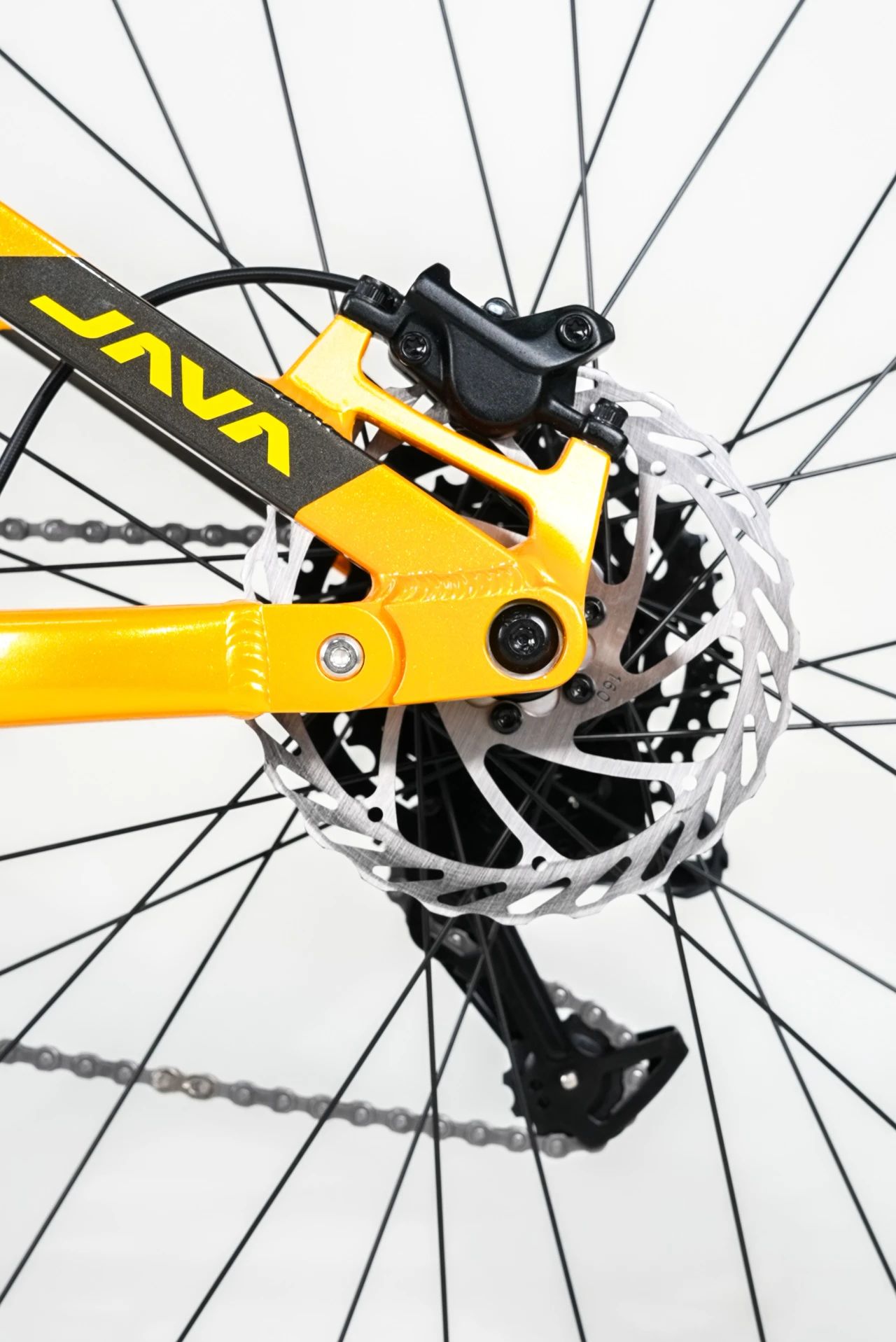 安寶細(xì)節(jié)圖